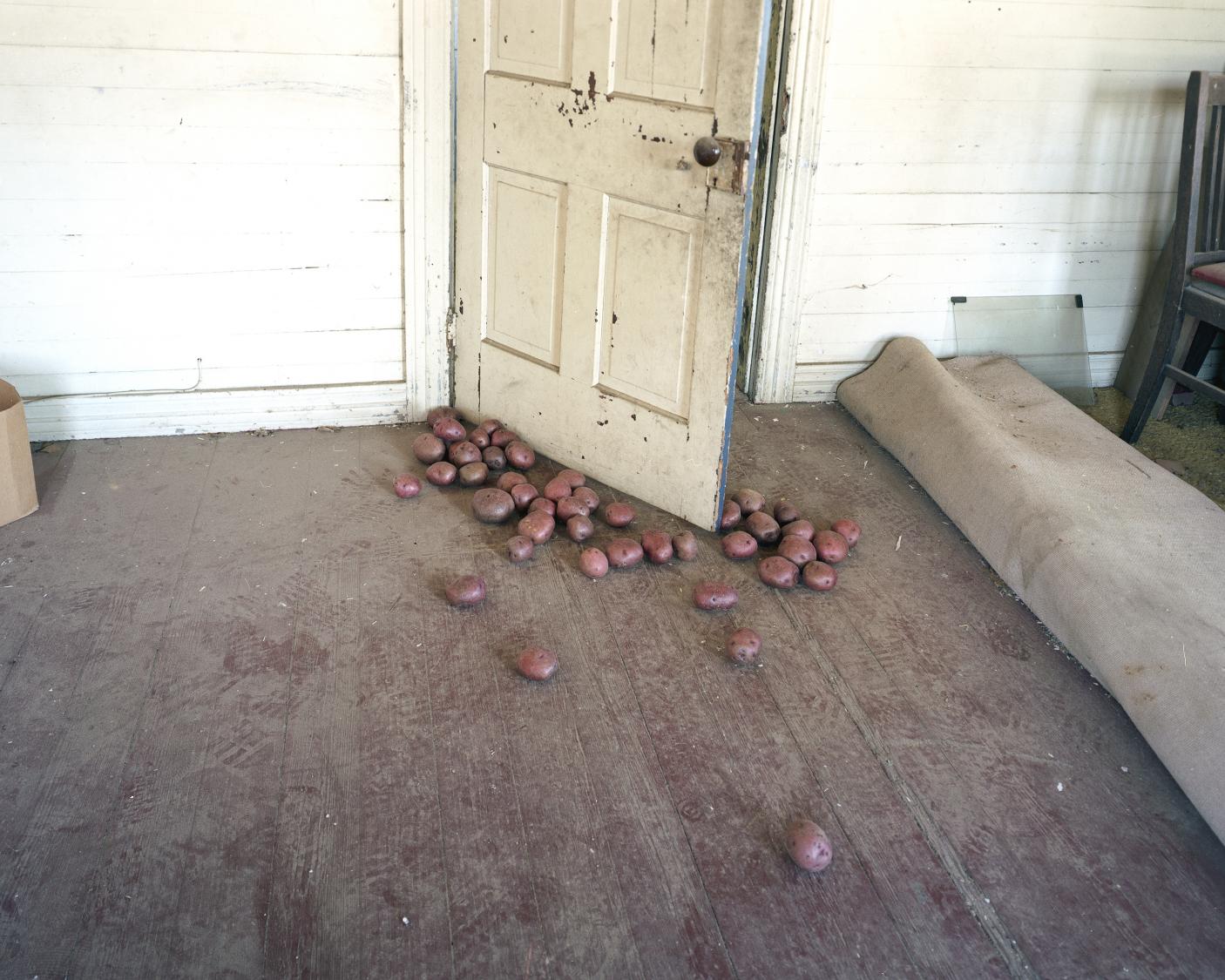 Potato Farmer, Alma GA